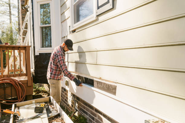 Top rated local Siding Replacement specialists in Brownsville, TN